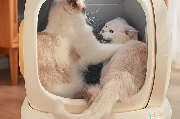 UBPet C20 self cleaning automatic Cat litter box